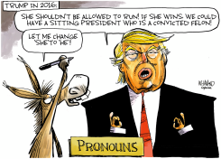 PRONOUNS PRONOUNS by Dave Whamond
