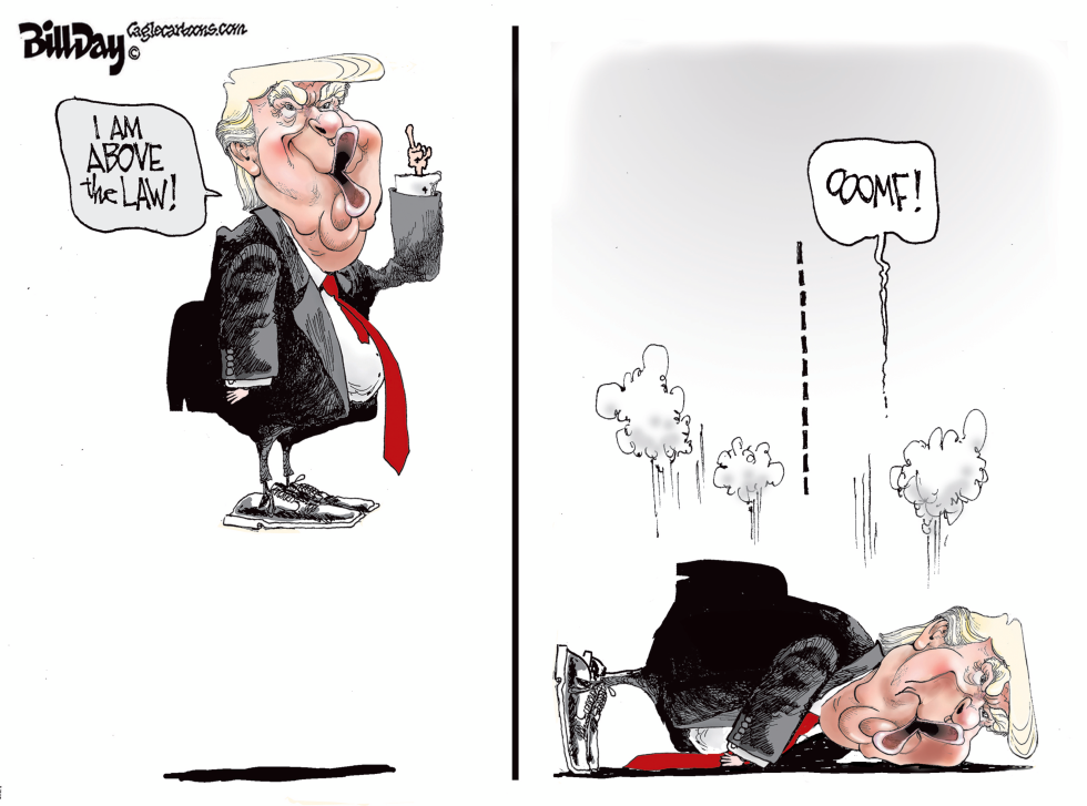 Above the Law