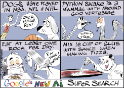 GOOGLE FUMBLE by Frank Hansen