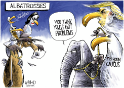 THE ALBATROSSES by Dave Whamond
