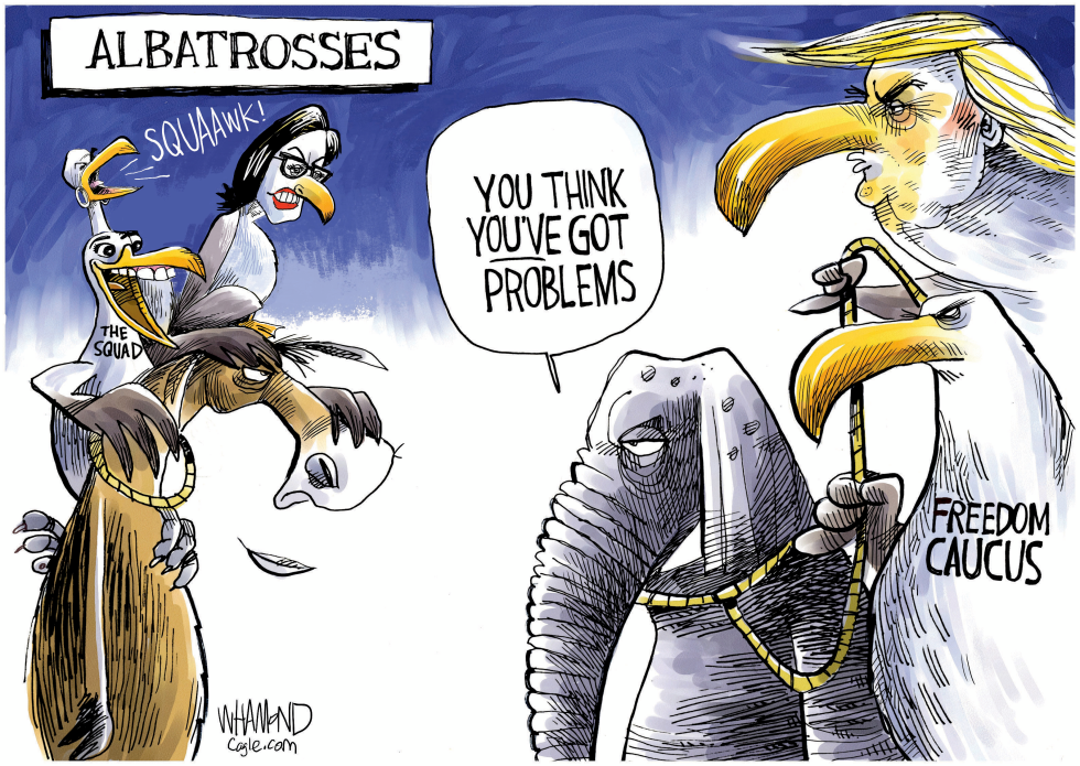 The Albatrosses