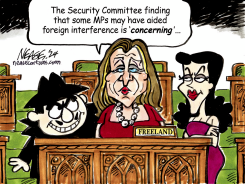 FOREIGN SPYS by Steve Nease