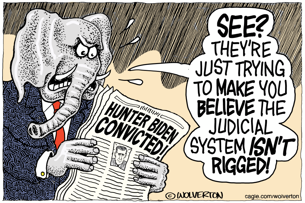 Hunter Biden Conviction