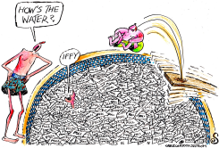 SWIMMING IN POLLS by Randall Enos