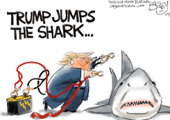 SHARK WEEK by Pat Bagley