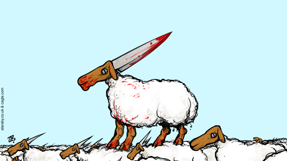 The Alpha Sheep