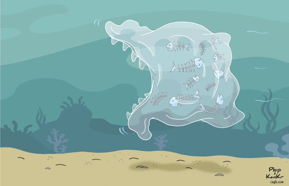 Marine pollution !