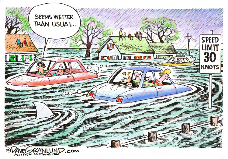 #2 WETTER THAN USUAL by Dave Granlund