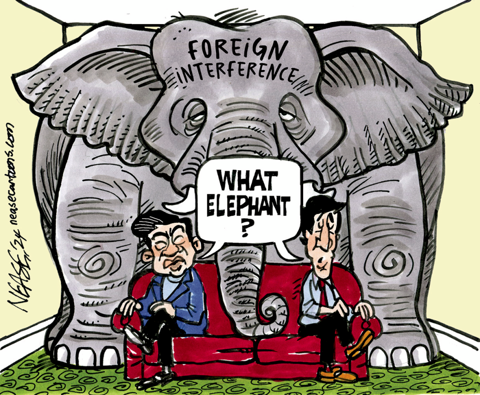 Foreign Elephant