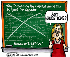 CAPITAL GAINS by Steve Nease