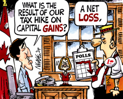 GAINS LOSS by Steve Nease