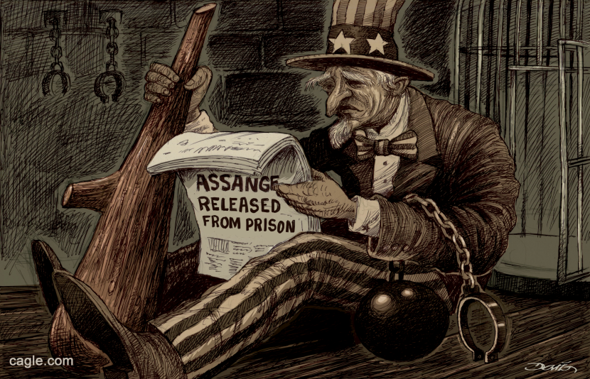 Assange released
