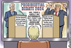 DEBATE WATCHER by Steve Greenberg