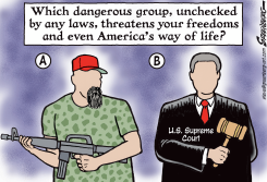 DOMESTIC TERRORISTS by Steve Greenberg
