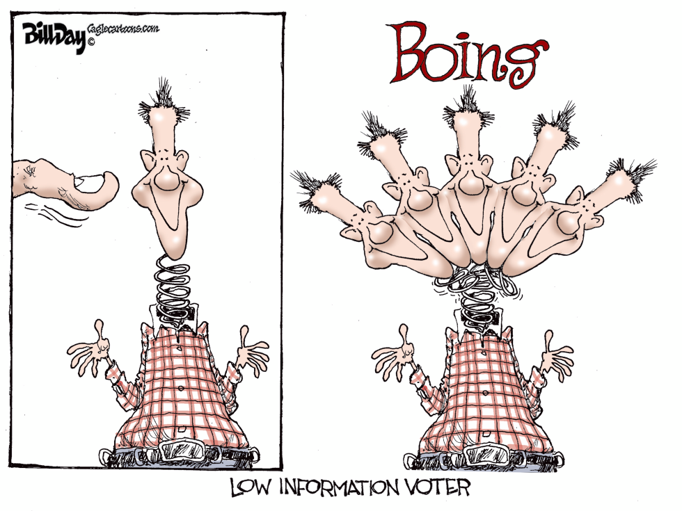 Low Information Voters