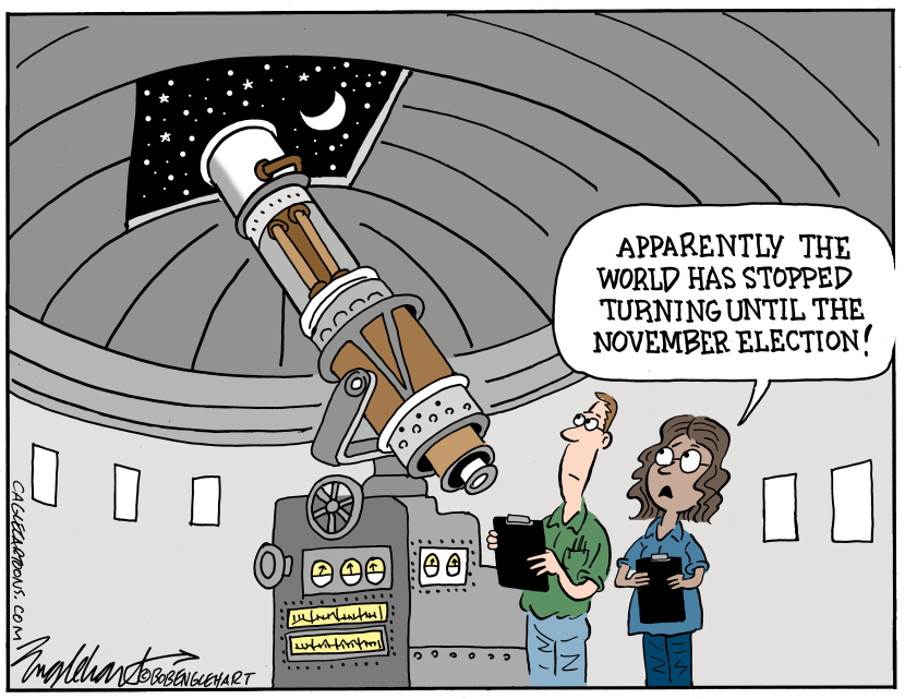 November Election