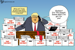 IF TRUMP GETS ELECTED by Bruce Plante