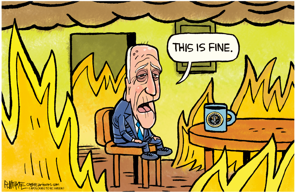 Biden This Is Fine