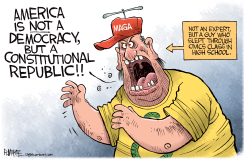 NOT A DEMOCRACY MAGA by Rick McKee