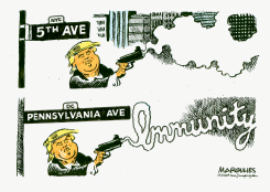 TRUMP IMMUNITY by Jimmy Margulies