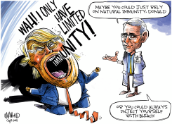 IMMUNITY NOW by Dave Whamond