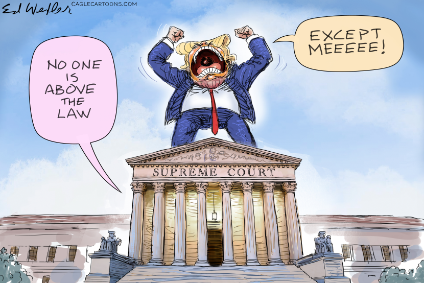 No One Is Above the Law