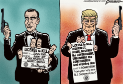 LICENSE TO KILL by Steve Greenberg