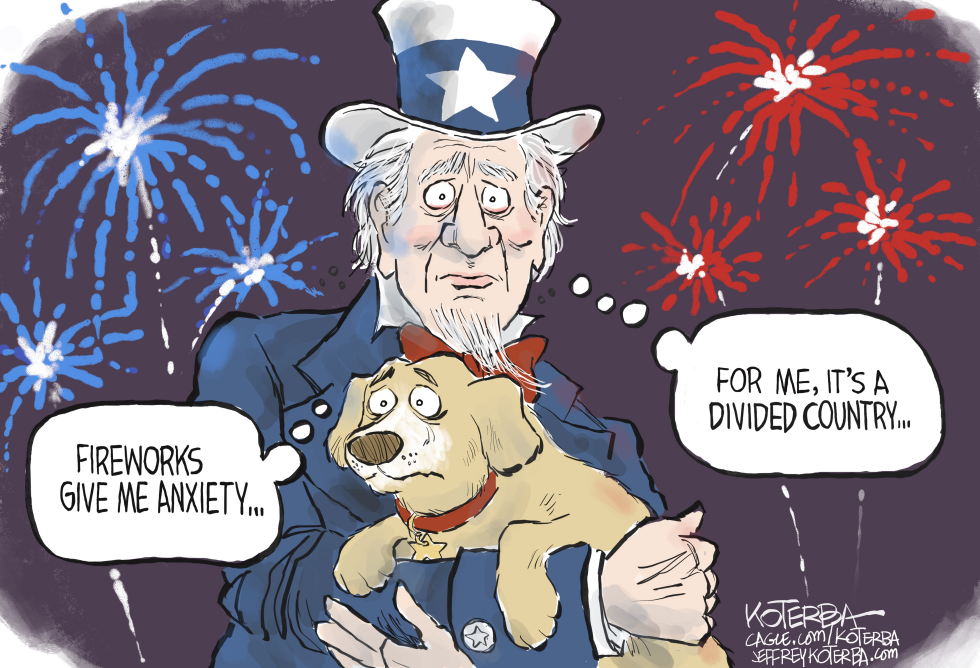 Fireworks Anxiety