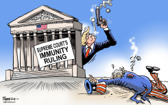 TRUMP GETS IMMUNITY by Paresh Nath