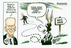 BIDEN'S FUTURE FOR 2024 by Jimmy Margulies