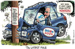 BIDEN POLE (UPDATED AND  by Rick McKee