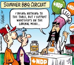 NDP BBQ by Steve Nease