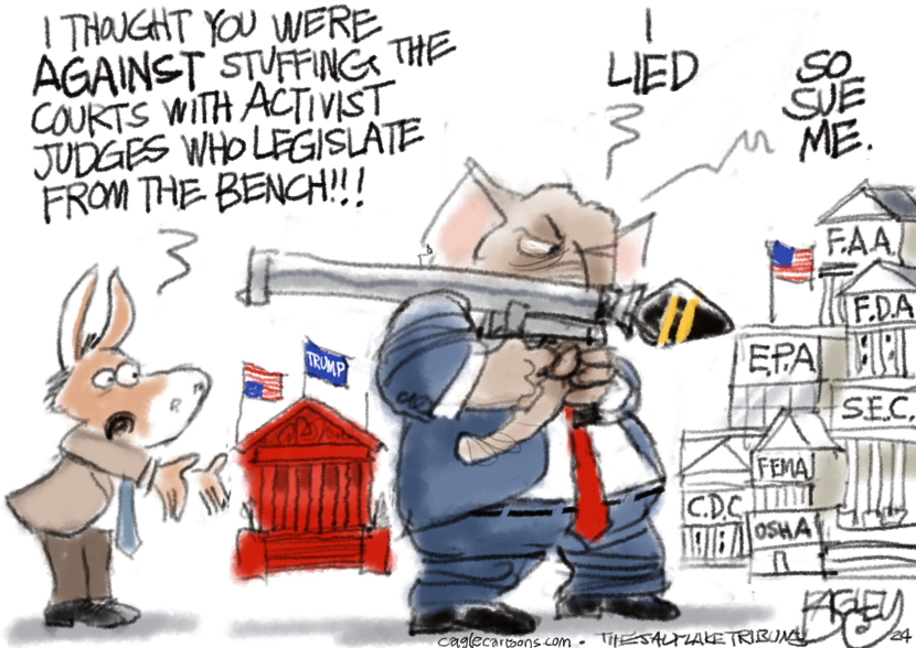 Activist Judges