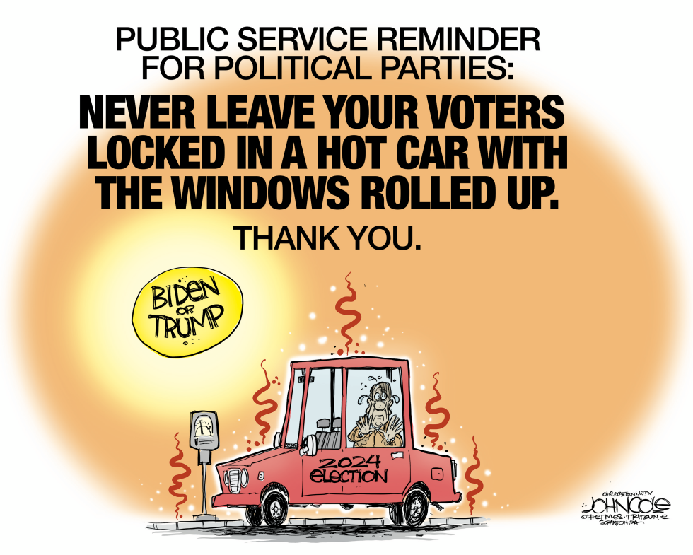 Voter neglect and abuse