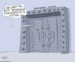MOST TRANSPARENT LIE by Gary McCoy