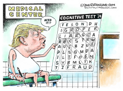TRUMP MENTAL FITNESS by Dave Granlund