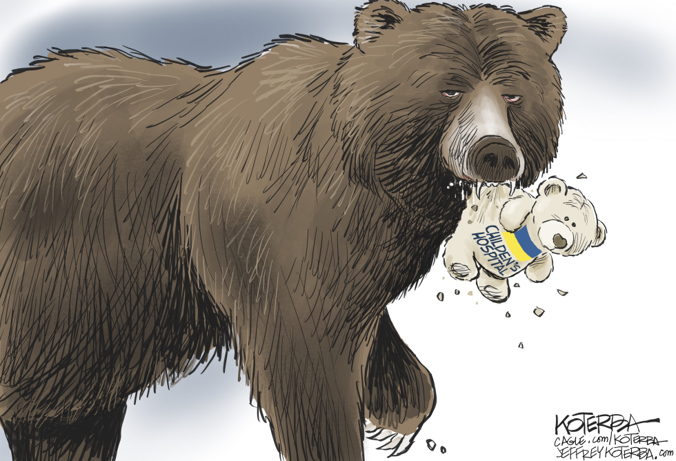 Bear vs. Teddy Bear