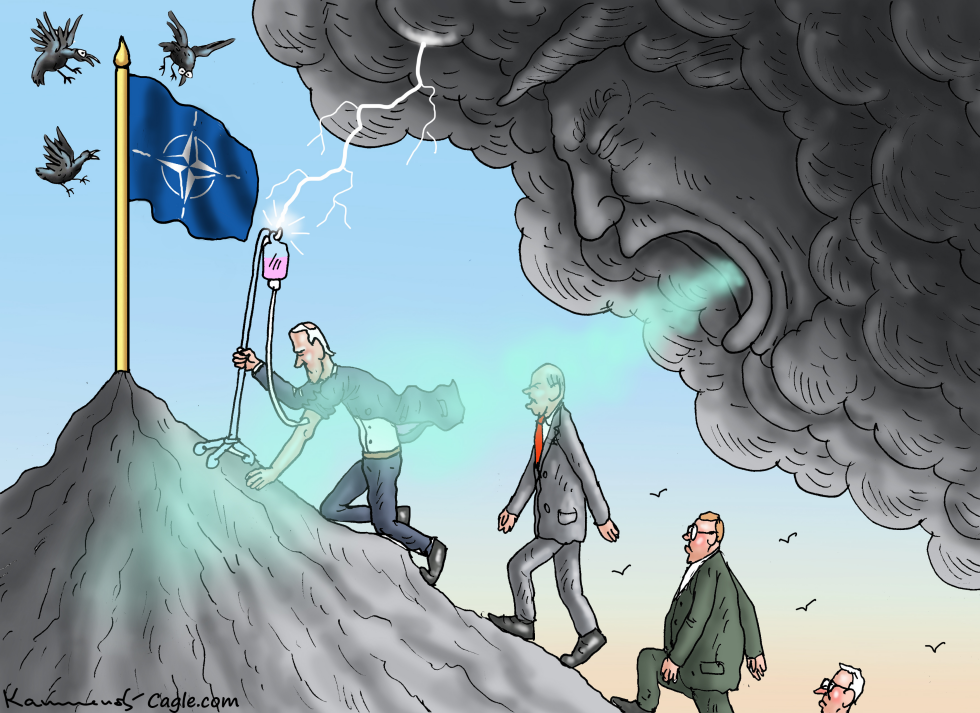NATO Summit In Washington