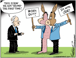 DEMOCRATS ARE SPLIT by Bob Englehart