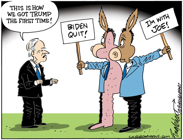 #3 DEMOCRATS ARE SPLIT by Bob Englehart