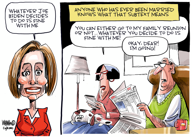 #1 THE PELOSI SUBTEXT by Dave Whamond