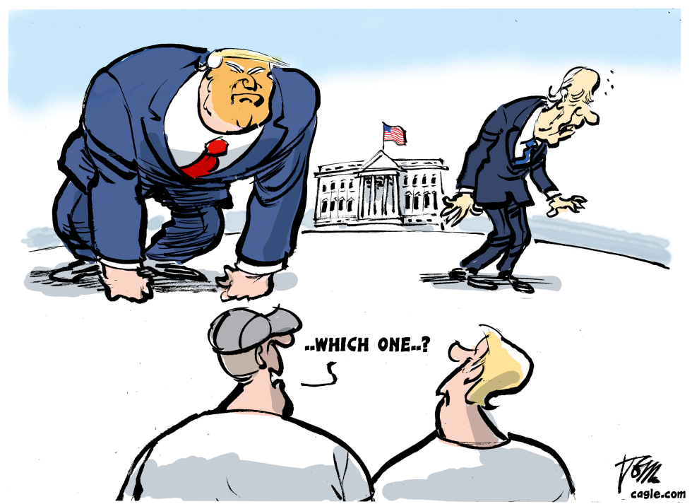 Trump or Biden