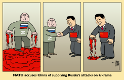 NATO ACCUSES CHINA by Arend van Dam