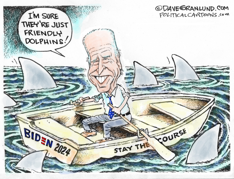 #3 BIDEN 2024 STAY THE COURSE by Dave Granlund