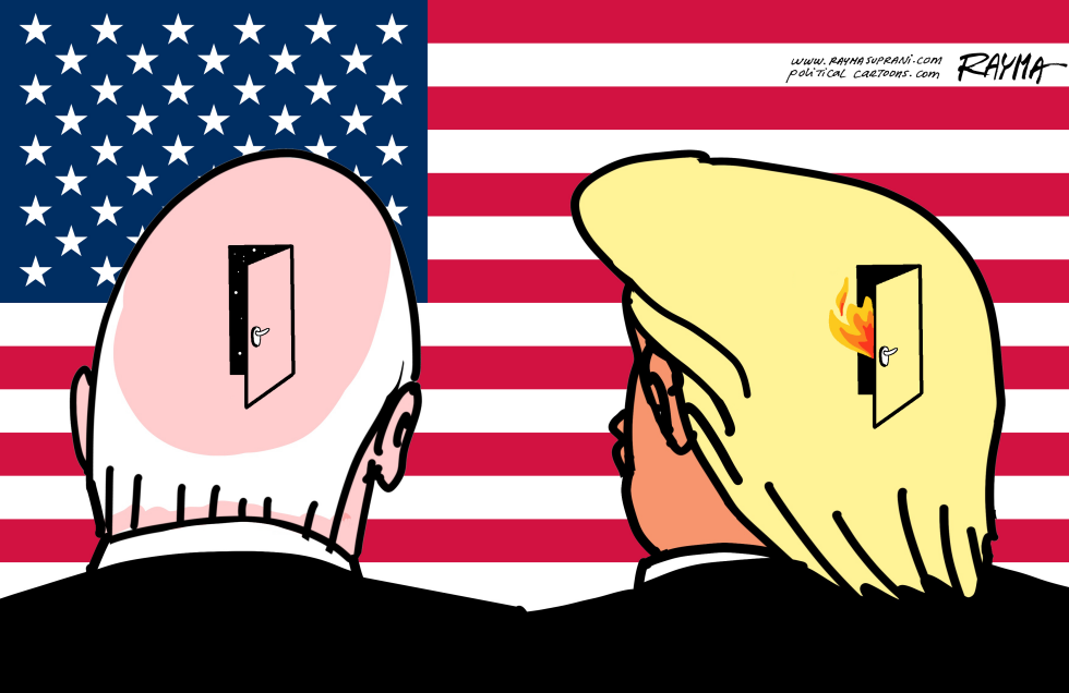 USA Elections 2024