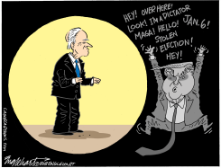 BIDEN'S HOGGING THE SPOTLIGHT by Bob Englehart
