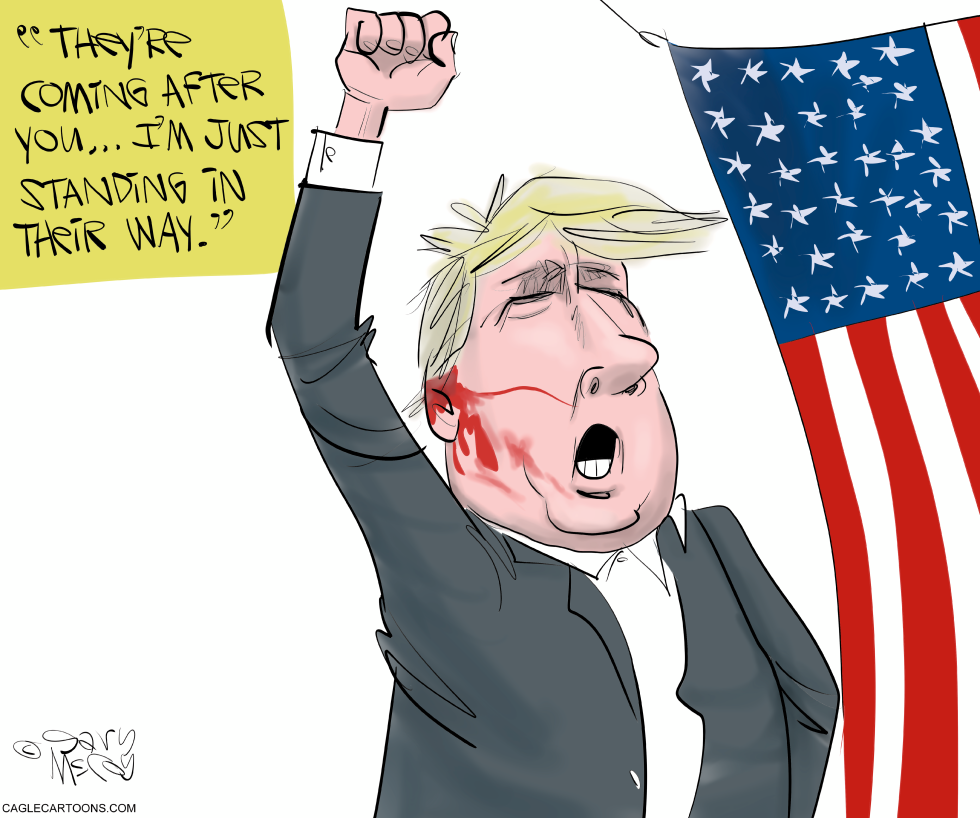 Trump Assassination Attempt