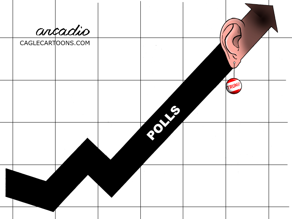 Trump's ear.