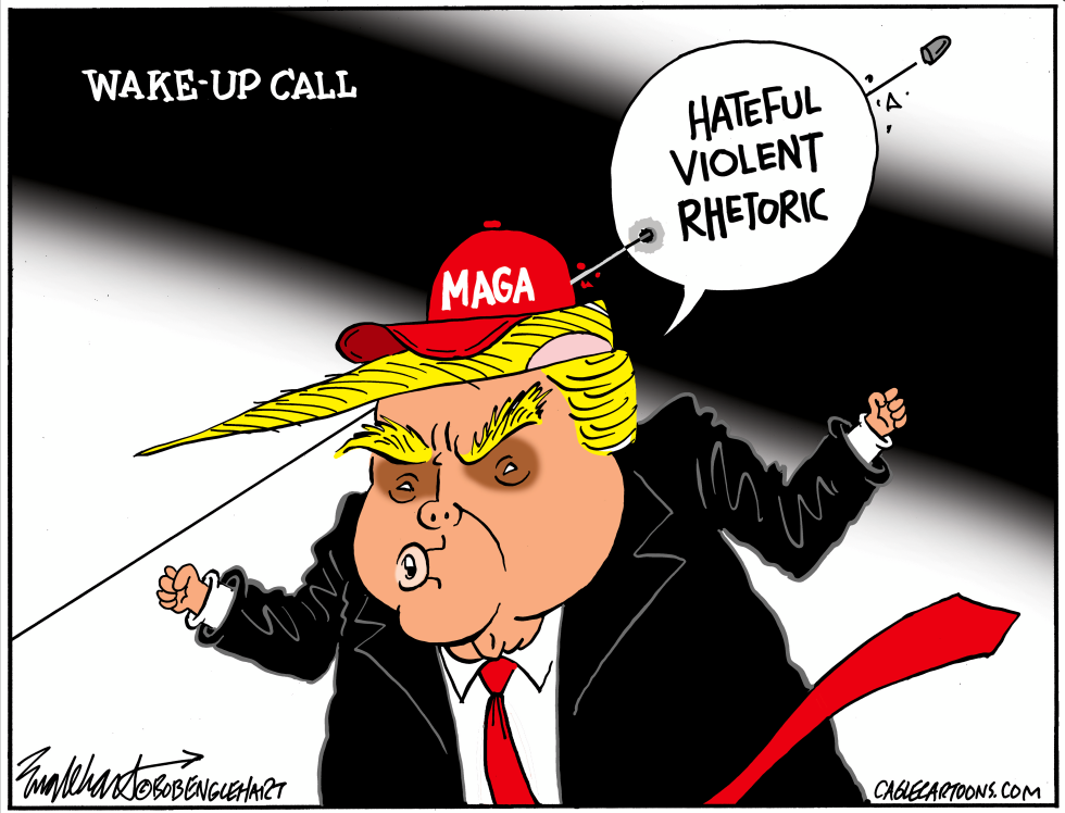 Assassination Attempt