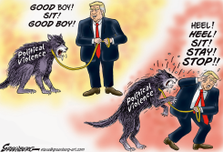 POLITICAL VIOLENCE AND TRUMP by Steve Greenberg